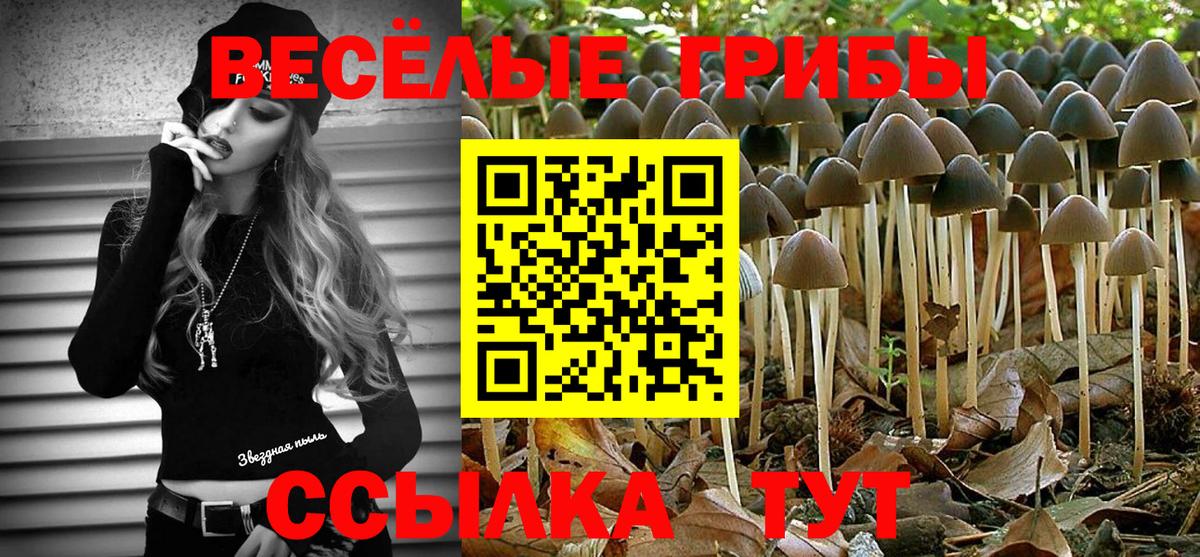 Лабытнанги  Галлюциногенные грибы Cubensis  Вход с VPN 